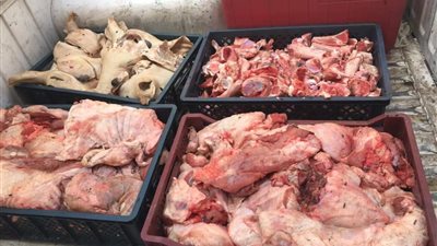 ضبط 250 كيلو لحوم وأسماك منتهية الصلاحية بدمياط