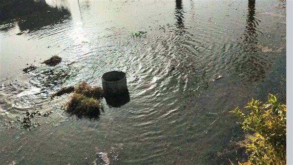 إغراق حدائق بورسعيد