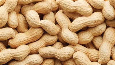  الفول السوداني يسجل 70 جنيها للكيلو بالتزامن مع قدوم عيد الفطر