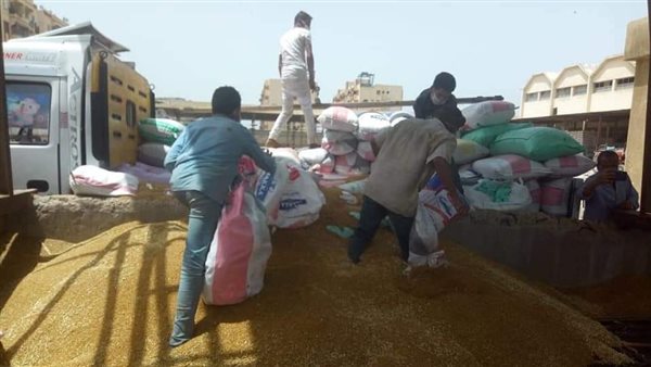 توريد القمح - ارشيفية