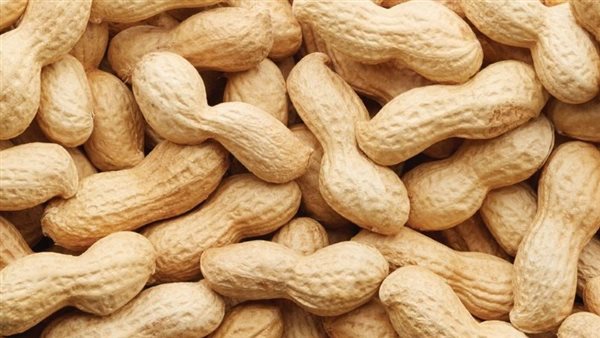 الفول السوداني 