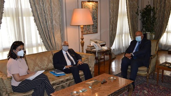 استقبال وزير الخارجية