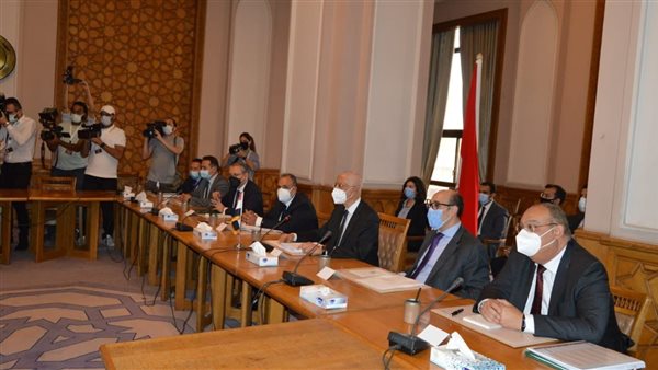 العلاقات المصرية