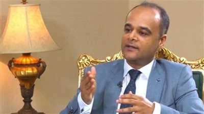 الموانئ ستظل مصرية.. متحدث الحكومة يوضح الهدف من طرح الشركة القابضة للموانئ في البورصة