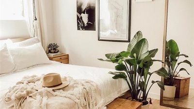 تعرف على الأضرار الصحية لوجود النباتات في غرفة النوم