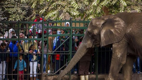 حديقة الحيوان