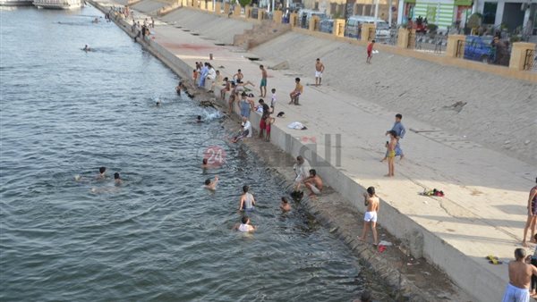 السباحة في النيل