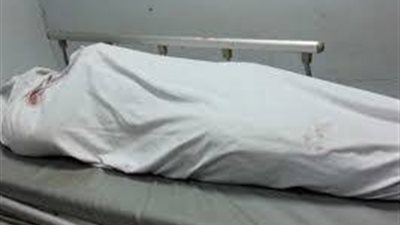 مصرع كهربائي صعقا في سوهاج    