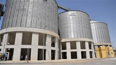 التموين تكشف موعد استئناف عمل مواقع استلام القمح المحلي