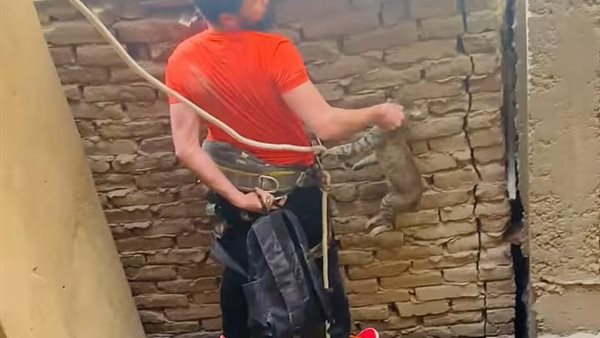 أحمد المقدم