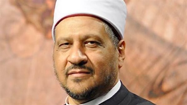 مجدي عاشور مستشار