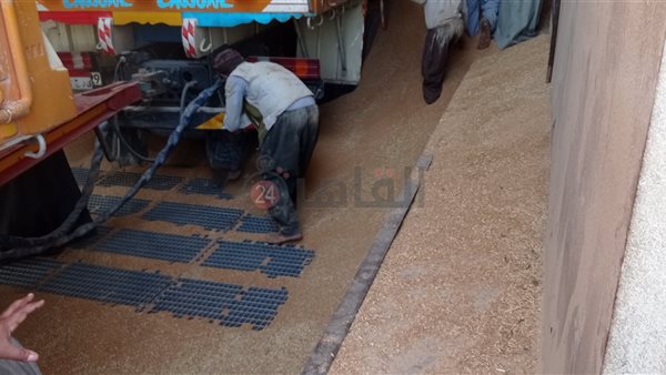 استلام القمح بصوامع