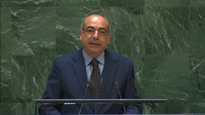 مصر تدعو لدفع الجهود الدولية لتأمين العاملين في المجال الطبي والإنساني