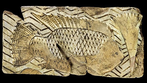 بلاط مزجج بسمكة