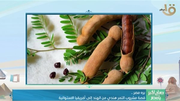 التمر الهندي 