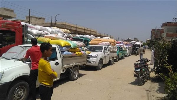 توريد القمح