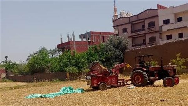 موسم حصاد القمح بالشرقية