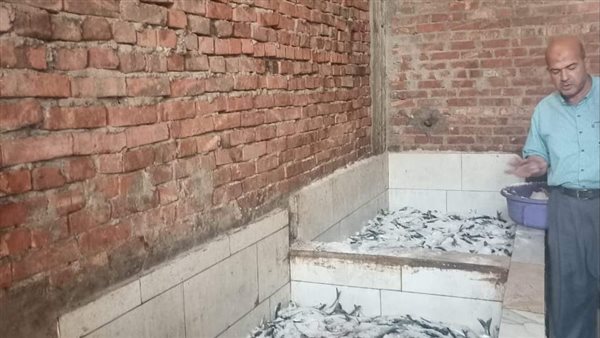 اسماك مملحة فاسدة