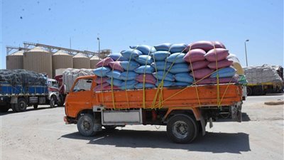 محافظ المنيا: توريد 110 ألف طن قمح إلى الصوامع والشون منذ بدء الحصاد