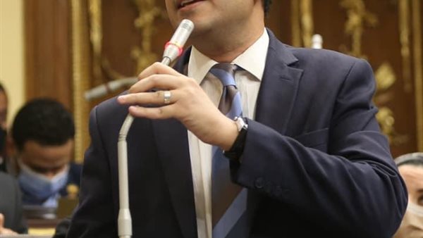  النائب طارق الخولى