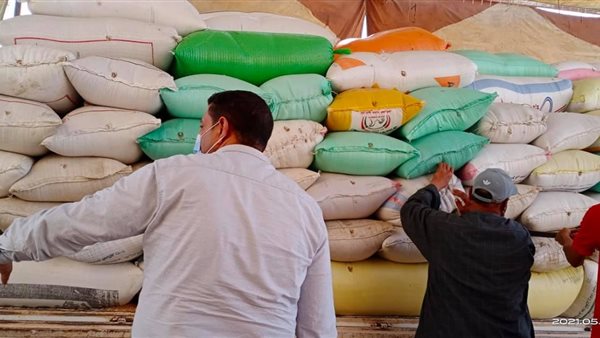 توريد القمح بكفر