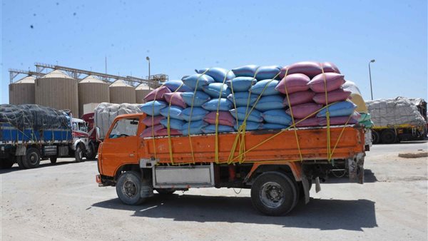 توريد قمح بالمنيا