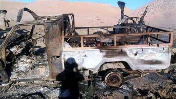 القضاء على عناصر