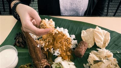  تناول الطعام باليد يزيد من مذاقه الشهي (دراسة)