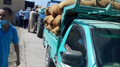 توريد 284 ألف طن قمح لصوامع وشون البحيرة