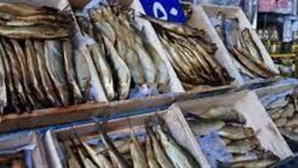  أسعار الرنجة والسردين