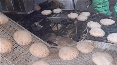 تحرير 168 محضرا متنوعا لمخابز مخالفة بكفر الشيخ