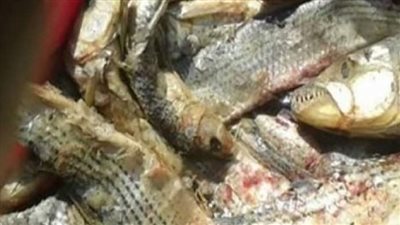 إصابة 4 أشخاص من عائلة واحدة بتسمم غذائي بالبحيرة