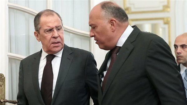 سامح شكري ونظيره