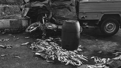 مصرع وإصابة 10 أشخاص في تصادم سيارة 