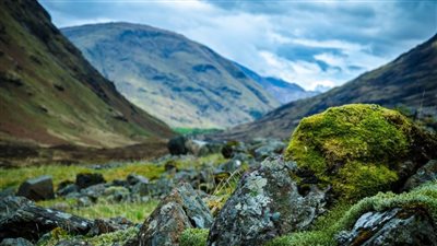 دراسة تكشف: الأرض في طريقها للانقراض السادس (تفاصيل)