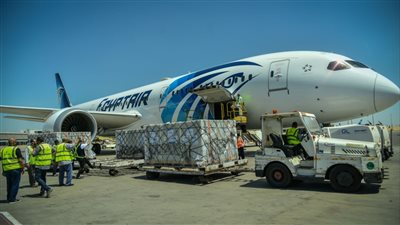 الصحة تعلن استقبال 500 ألف جرعة من لقاح كورونا 