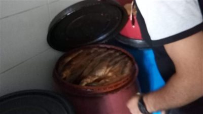 في حملة مكبرة بالبحر الأحمر.. إعدام طن كعك وفسيخ لعدم صلاحيتهما (صور)