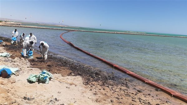  التلوث الزيتي -