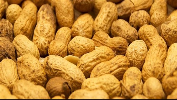  الفول السوداني 