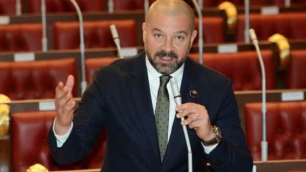 النائب أحمد دياب