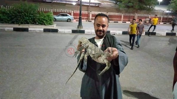 الورنه وصائدها