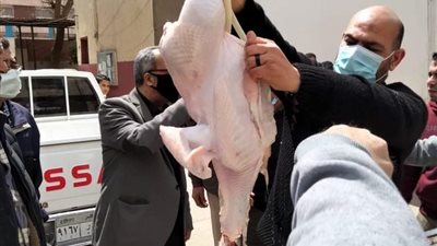 المنوفية تعلن ضبط 282 كيلو جرام دواجن غير صالحة للاستهلاك الآدمي 