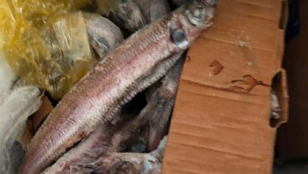 أسماك مُملحة