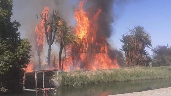 حريق- أرشيفية