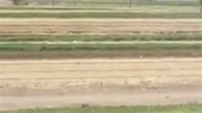 اندلاع حريق هائل بمنطقة المظليطين بمركز أبنوب في أسيوط (فيديو)