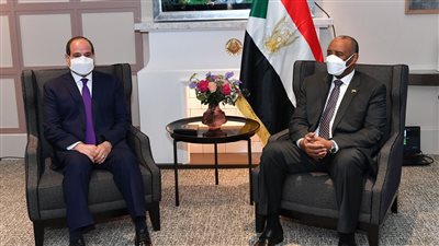 السيسي: استخدام حصة مصر لدى صندوق النقد الدولي لمواجهة ديون السودان المشكوك بتحصيلها