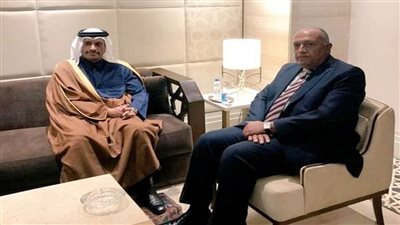 اتفاق مصري قطري على ضرورة التوصل لوقف إطلاق النار في فلسطين