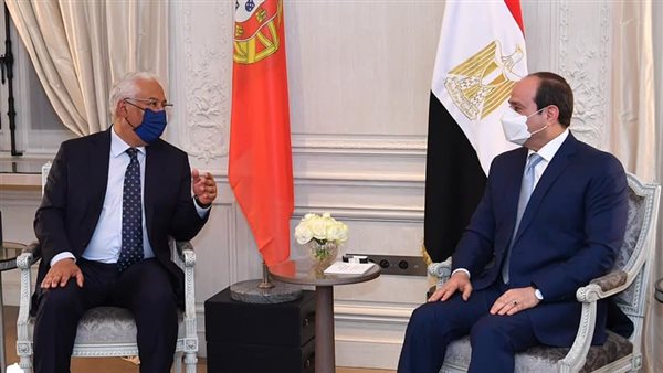 السيسي ورئيس وزراء