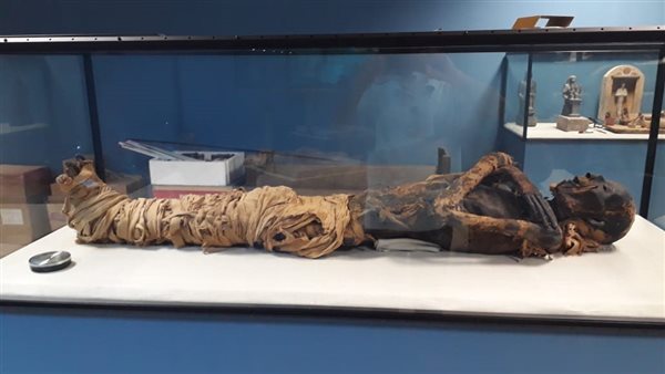 القطع الآثرية بمتحف