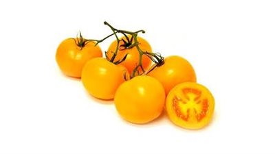 أبرز المعلومات الصحية عن فوائد الطماطم الصفراء
